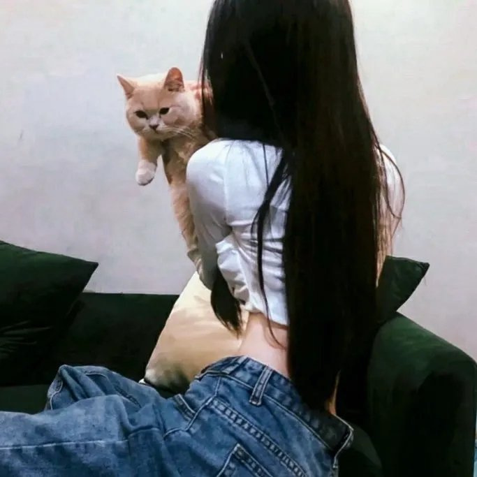 接赃